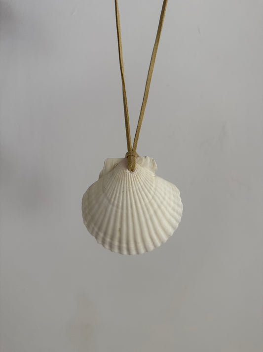 Seashell Rearview Mirror Hang