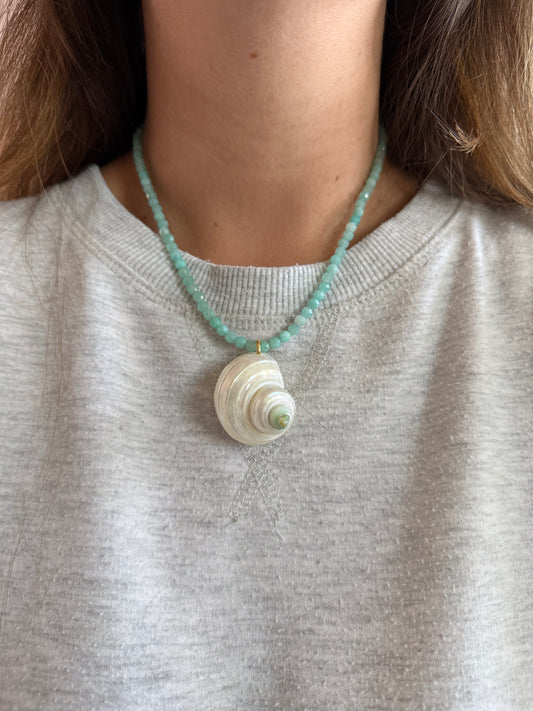 Amazonite Turbo Seashell Necklace