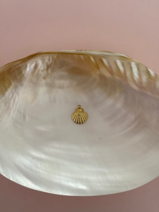 Shell Charm Add On