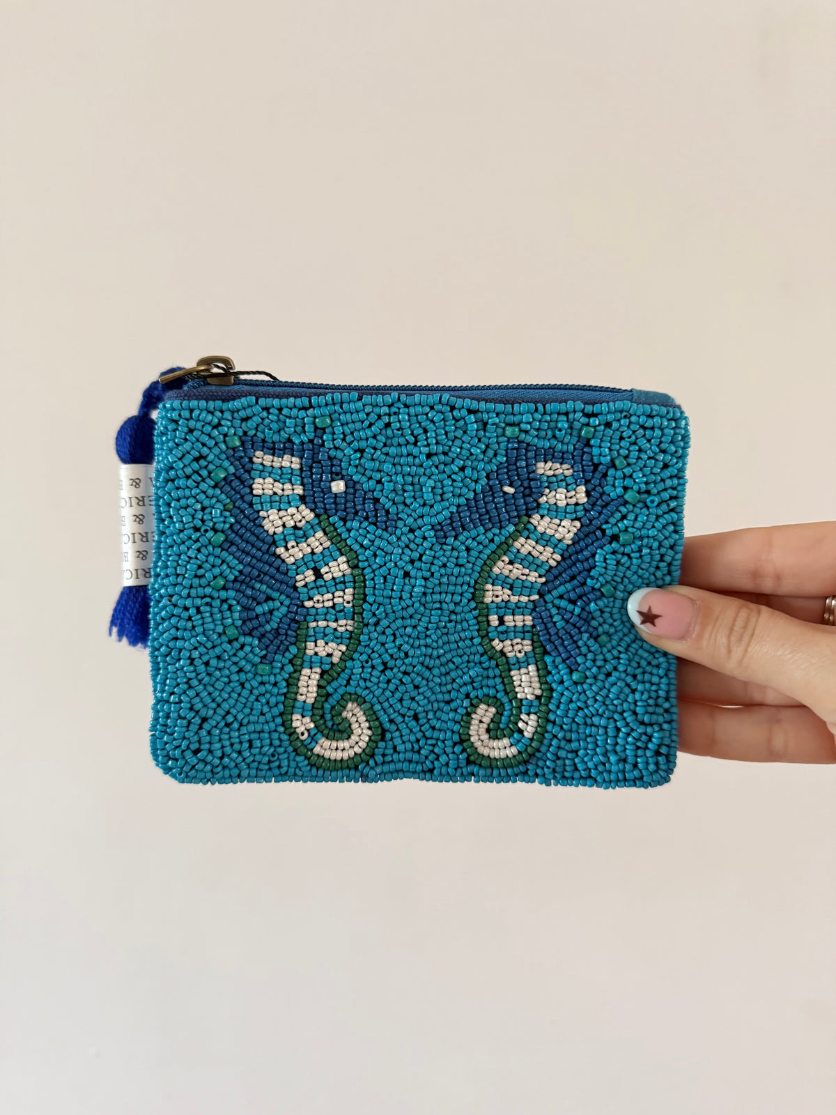 Aqua Seahorse Coin Pouch