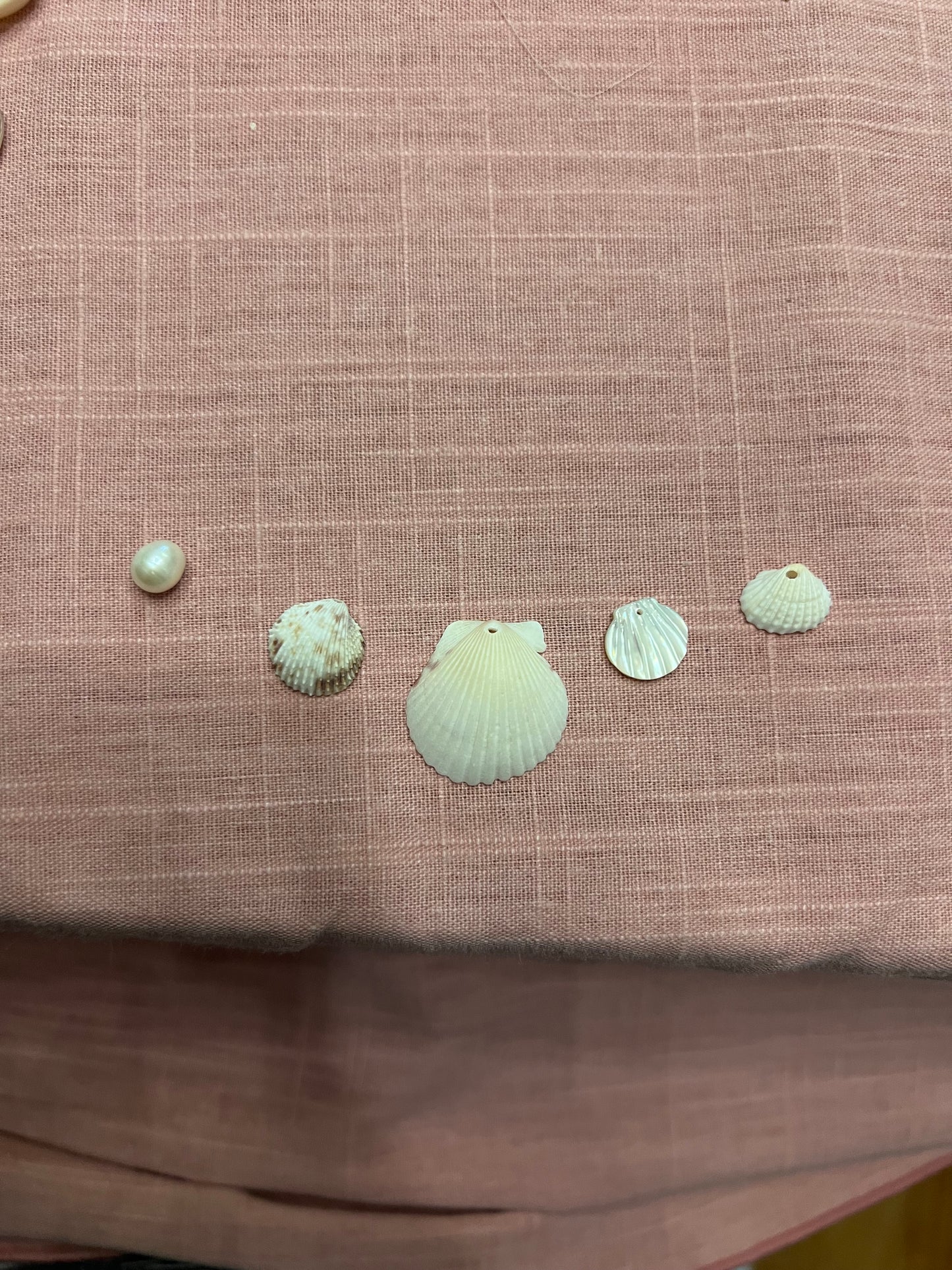 Seashell Charm Necklace for Kade