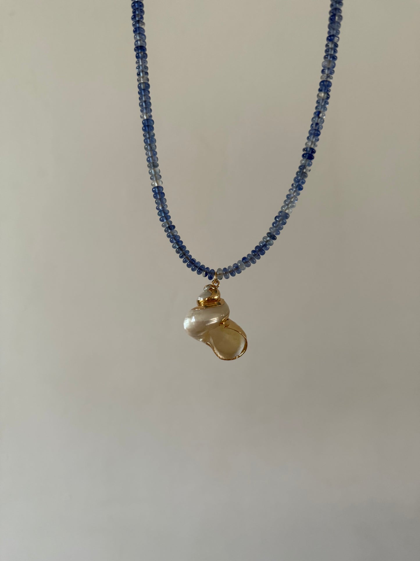 Turbo Shell Beaded Necklace