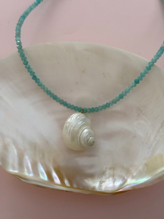 Amazonite Turbo Shell Necklace