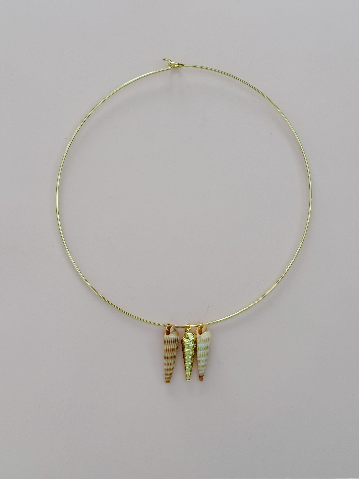 Auger Seashell Collar Necklace