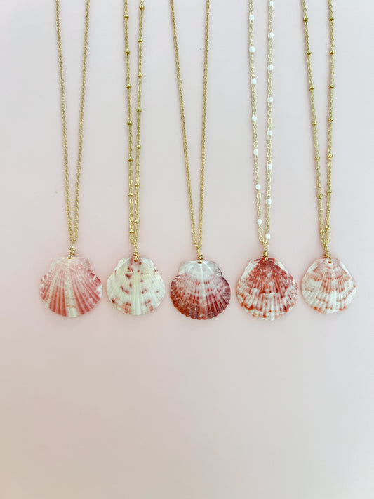Real Calico Scallop Seashell Necklace