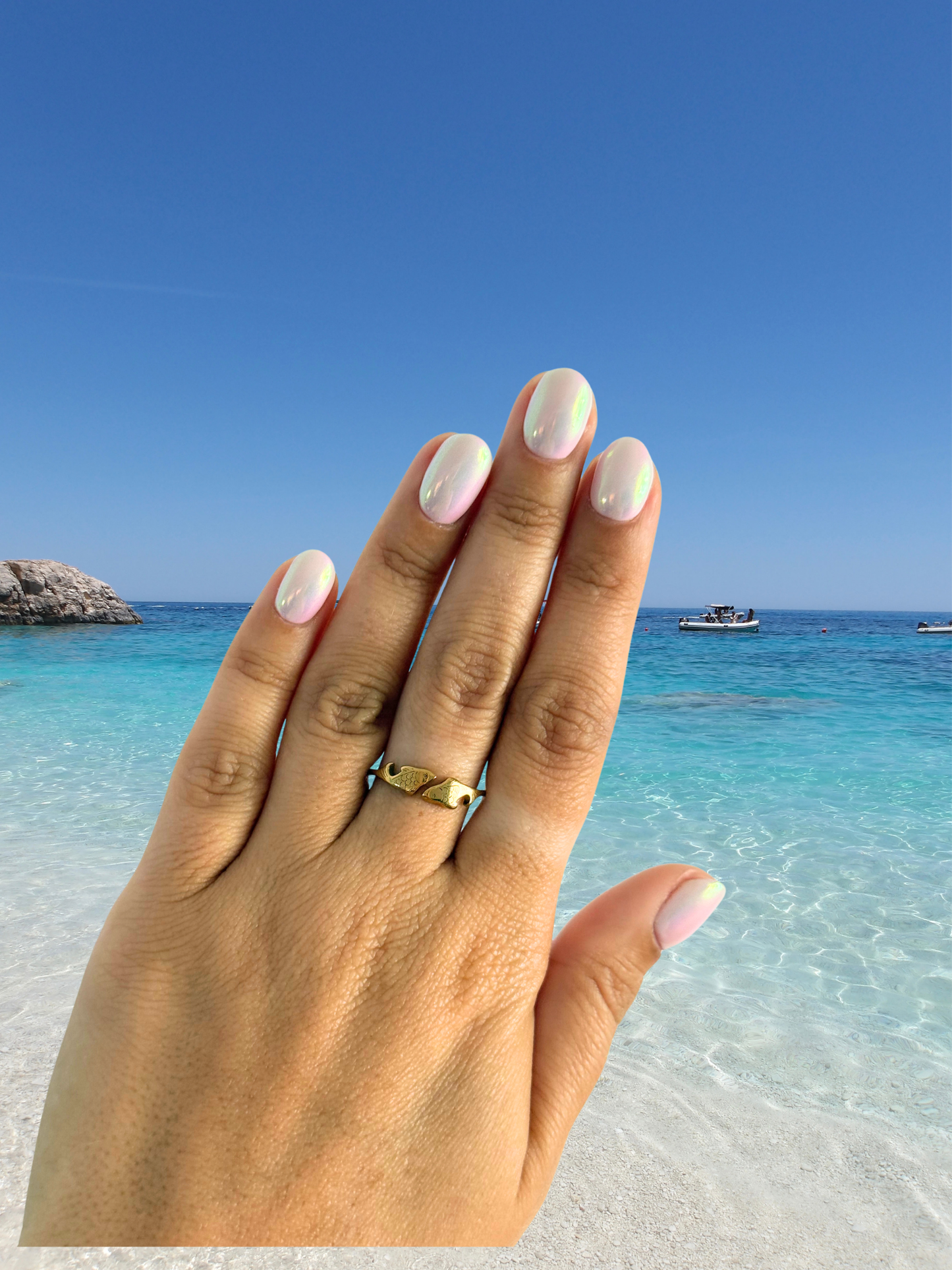2 Fish Ring