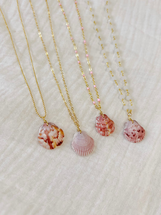 Real Calico Scallop Seashell Necklace