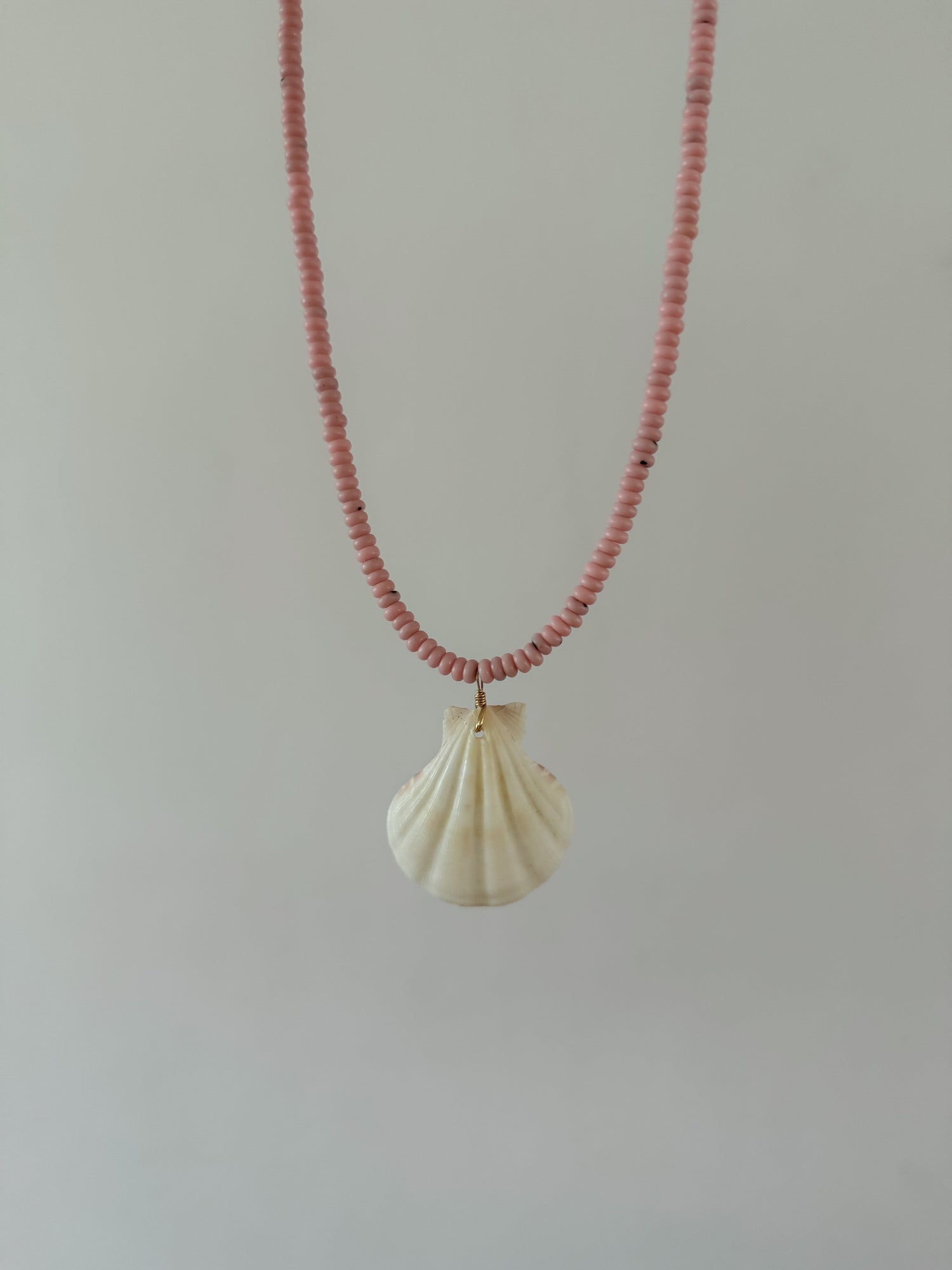 Seashell Sisters 4.0