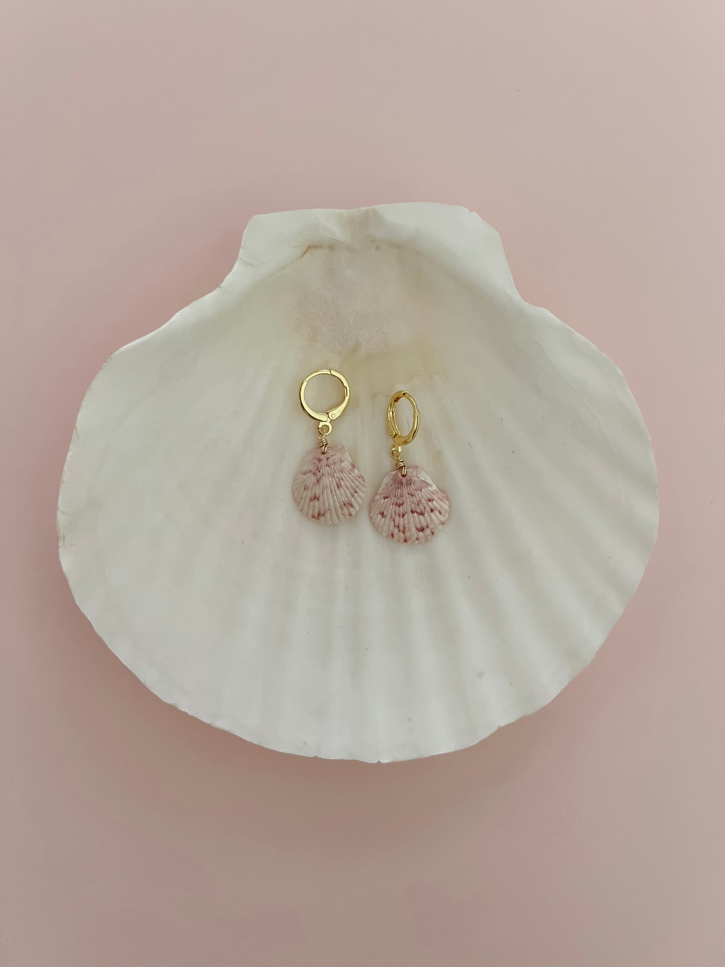 Small Real Scallop Seashell Earrings