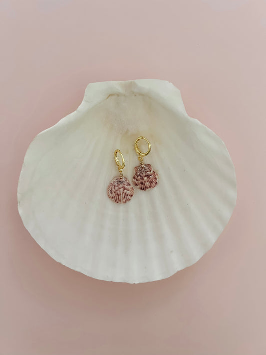 Small Real Scallop Seashell Earrings