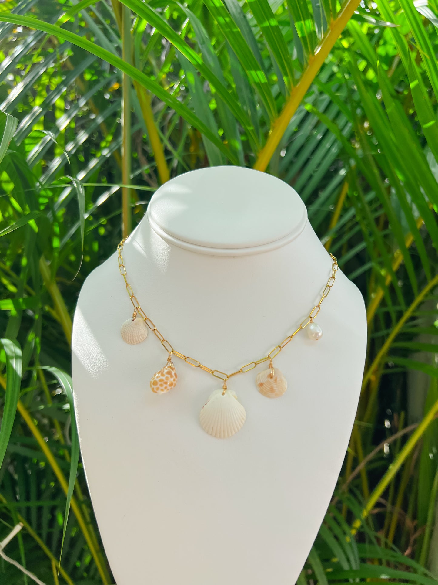 Real Seashell Charm Necklace