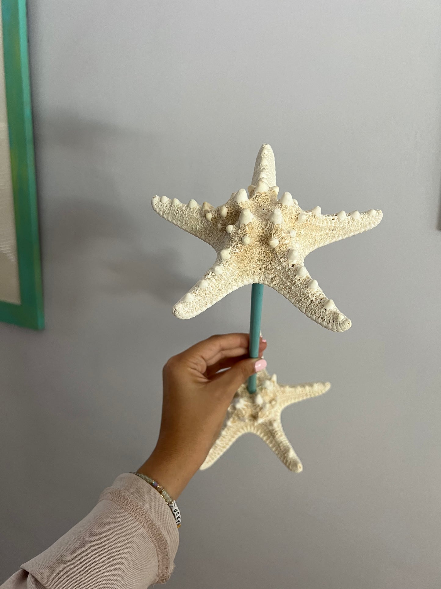 Real Starfish Jewelry Stand