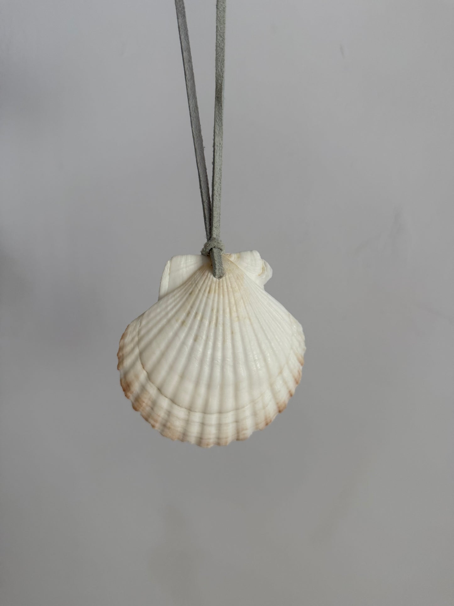 Seashell Rearview Mirror Hang