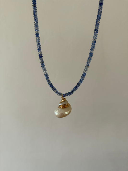 Turbo Shell Beaded Necklace