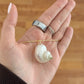 White Shell Collar Necklace