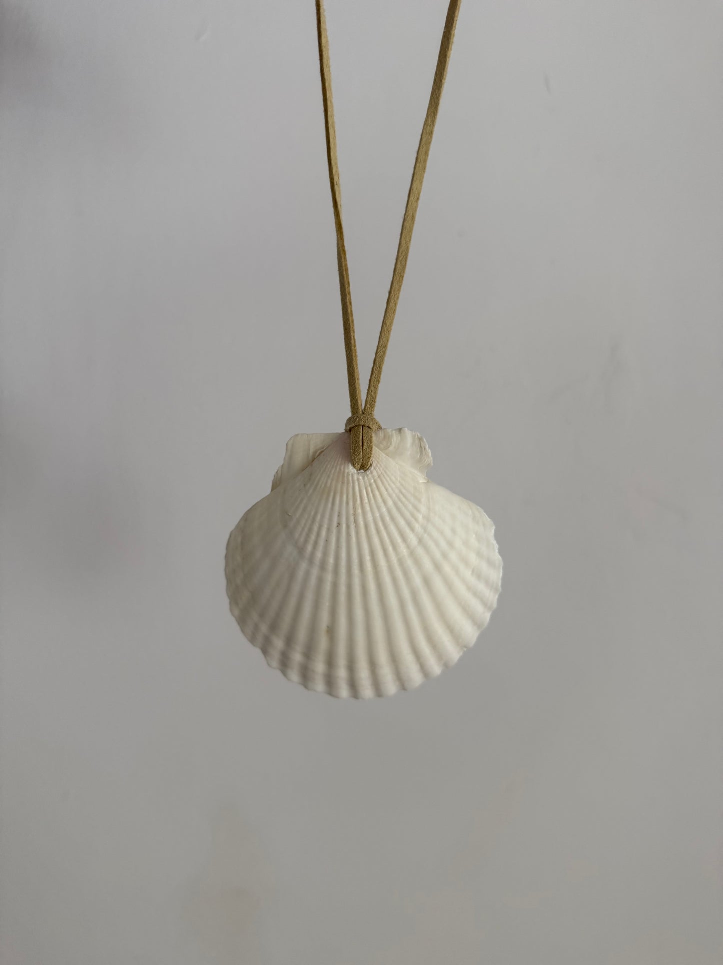 Seashell Rearview Mirror Hang