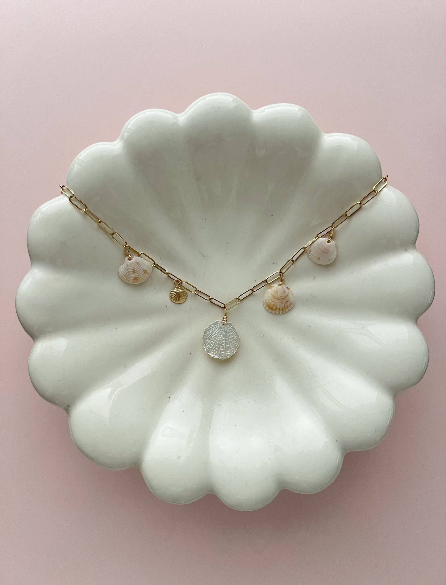 Juno Real Seashell Charm Necklace