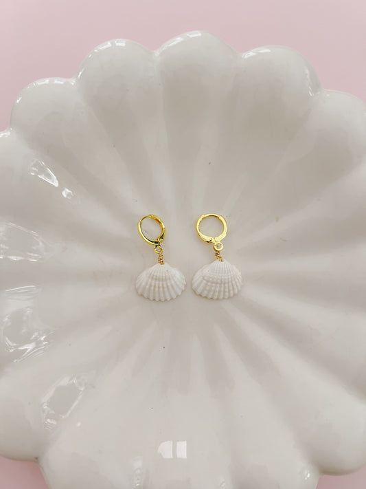 White Seashell Earrings