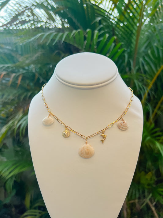 Real Seashell Charm Necklace with Gold Filled Charms