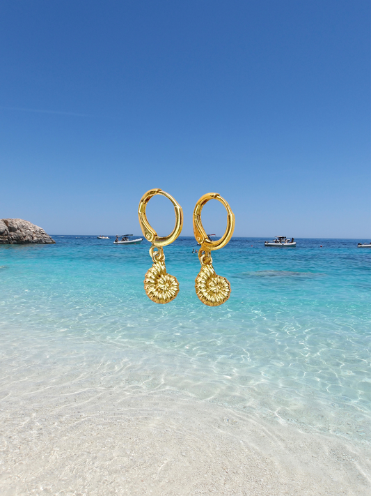 Tiny Nautilus Shell Earrings