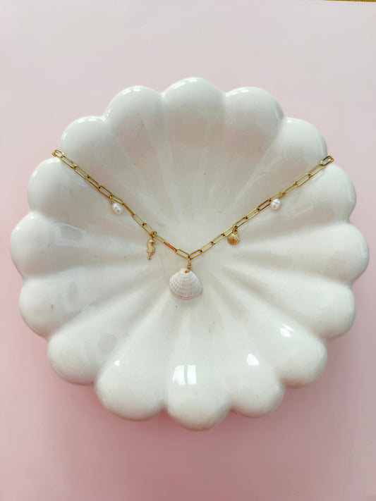 Real Seashell Charm Necklace with Pearls
