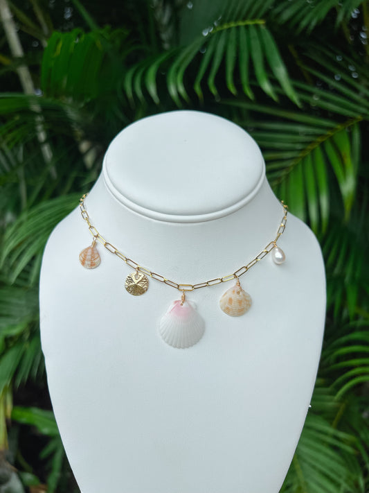 Treasure Island Real Seashell Charm Necklace