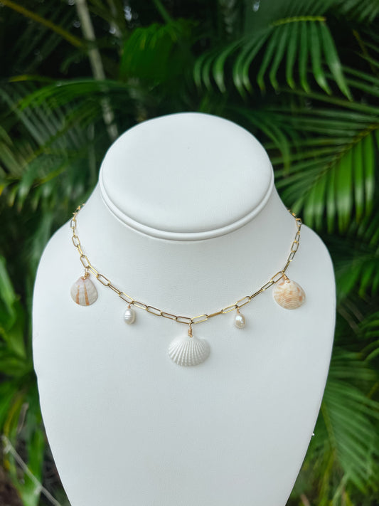 Deerfield Beach Real Seashell Charm Necklace