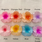 Hibiscus Hair Clips