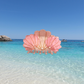 Pink Shells Hair Clip