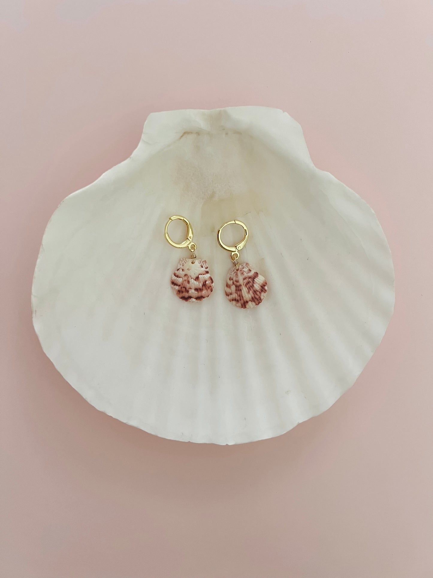 Small Real Scallop Seashell Earrings