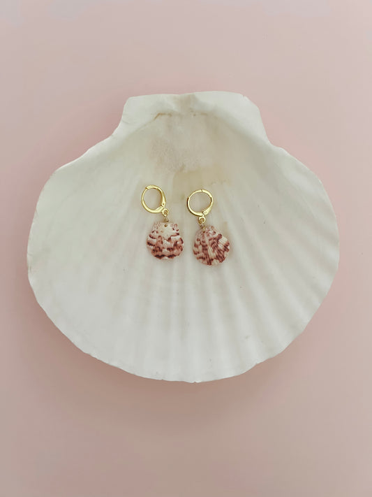 Small Real Scallop Seashell Earrings