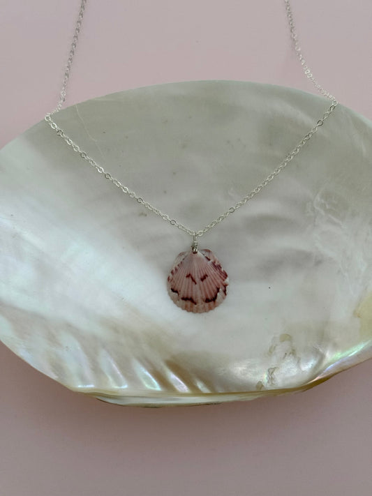 Sterling silver seashell necklace