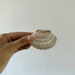 Cream Seashell Hair Clip