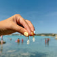 Shell Fish Earrings