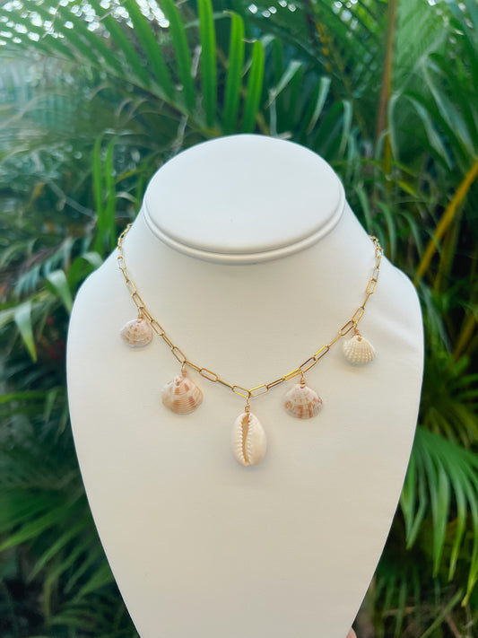 Real Seashell Charm Necklace