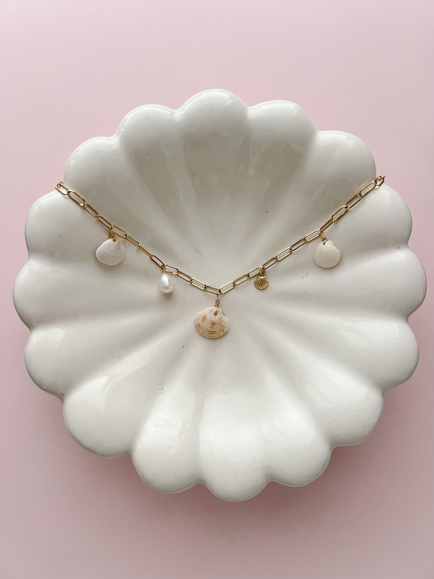 St. Pete Real Seashell Charm Necklace