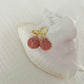 Real Calico Scallop Seashell Huggie Hoop Earrings one of a kind