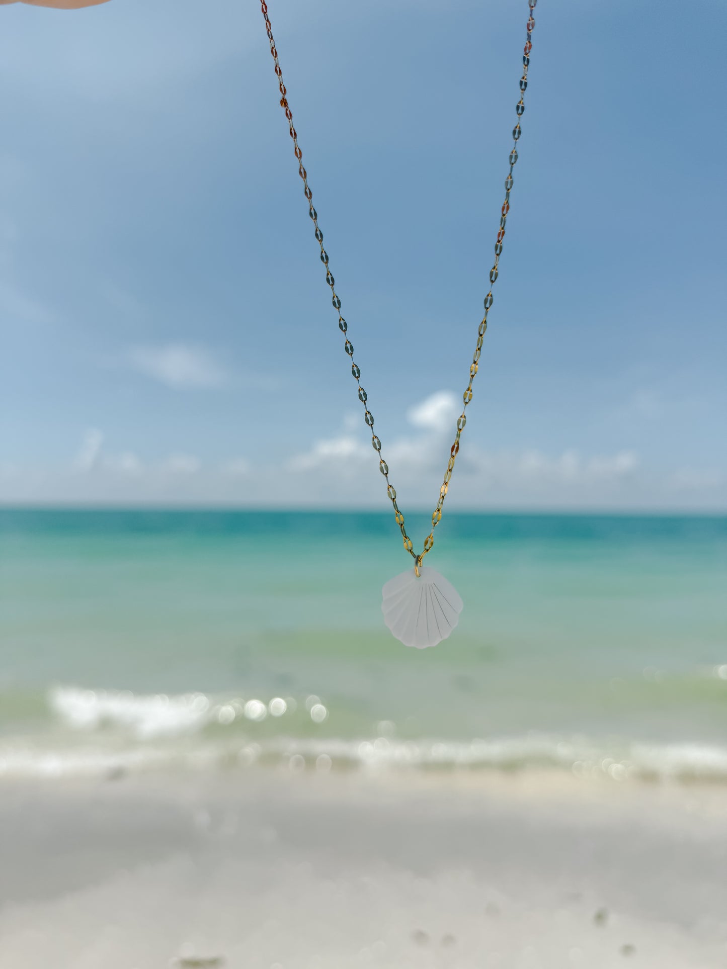 Mother of Pearl Scallop Shell Necklace