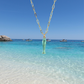 Aqua Fish Necklace