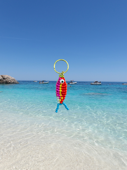 Small Fish Bag Charm Key Chain