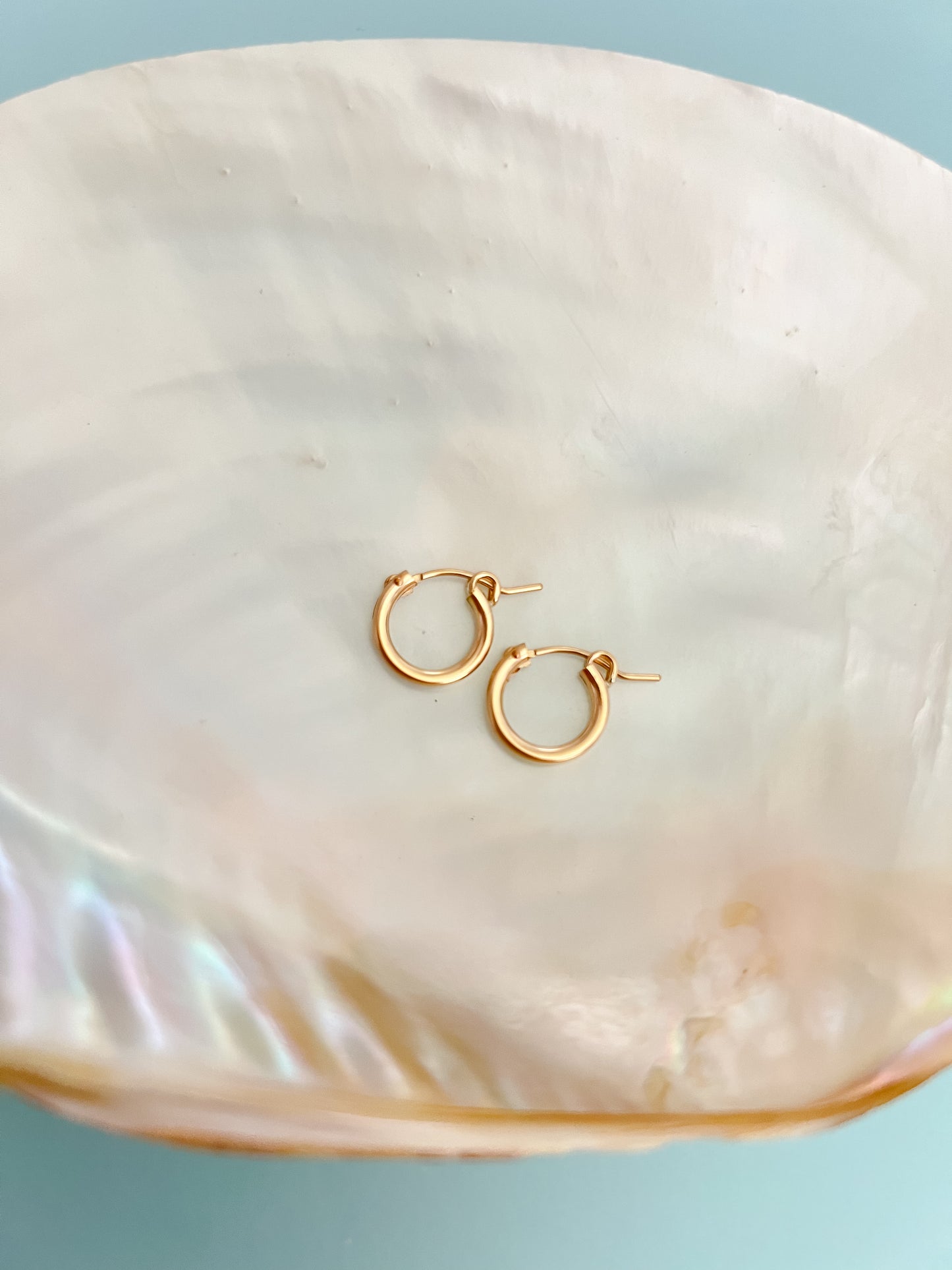 Goldie Hoops Gold Filled Earrings