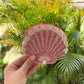 Pink Seashell Coin Pouch