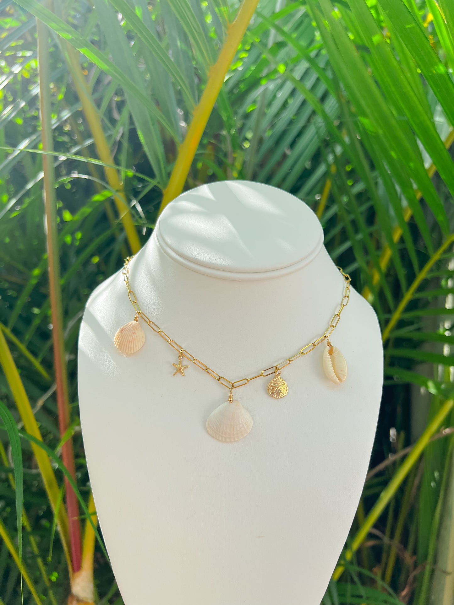 Real Seashell Charm Necklace