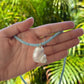 Amazonite Beaded Seashell Necklace