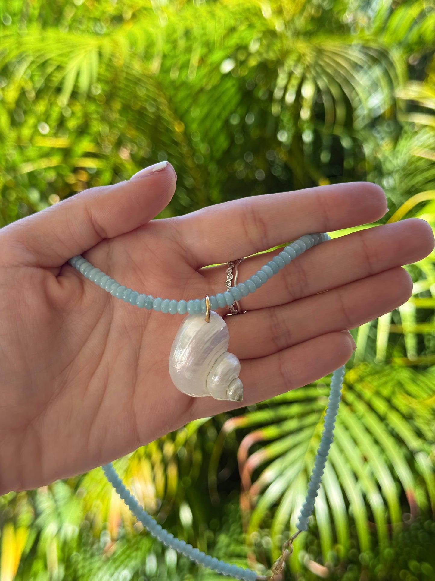 Amazonite Beaded Seashell Necklace