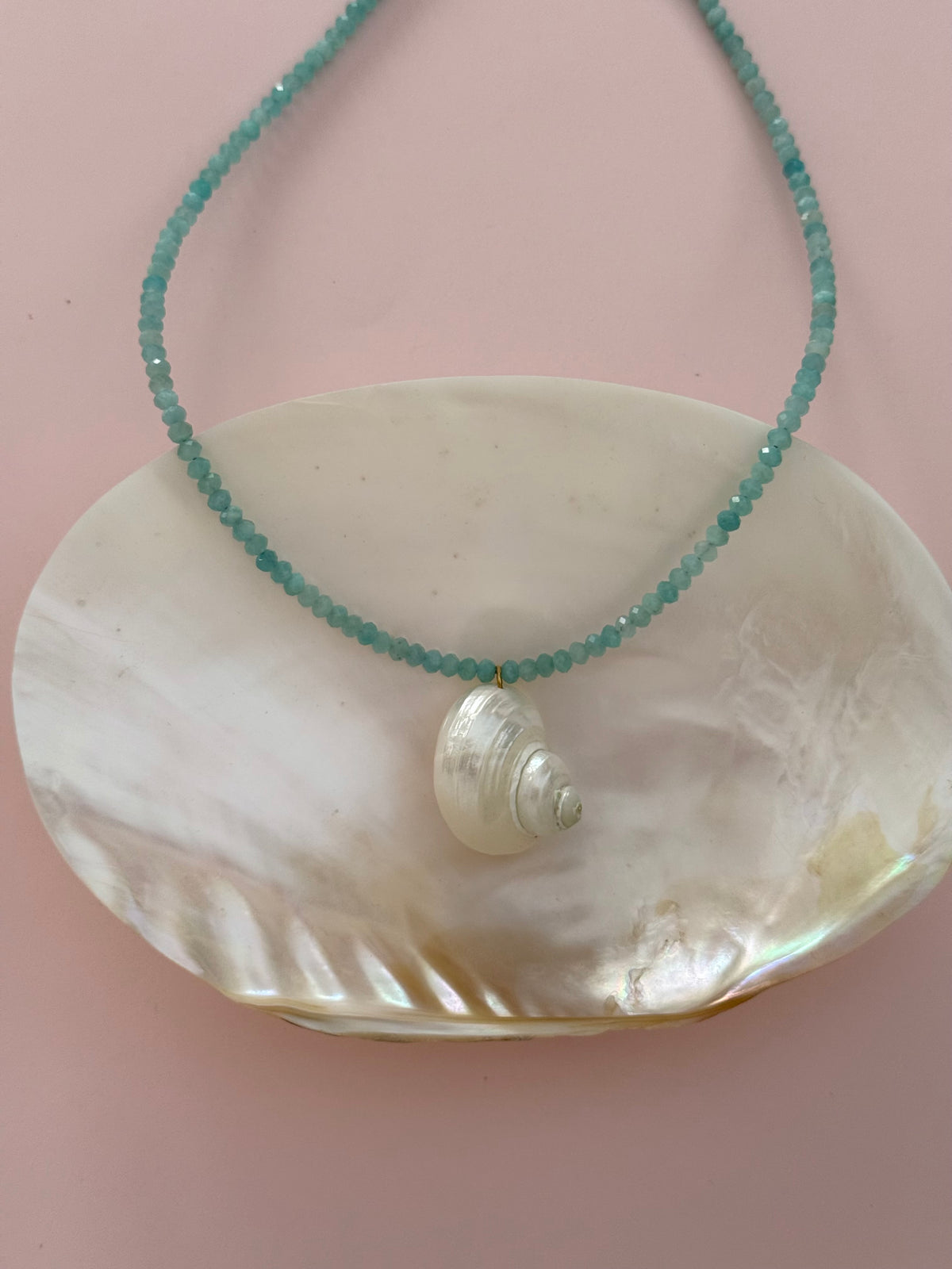 Amazonite Turbo Shell Necklace
