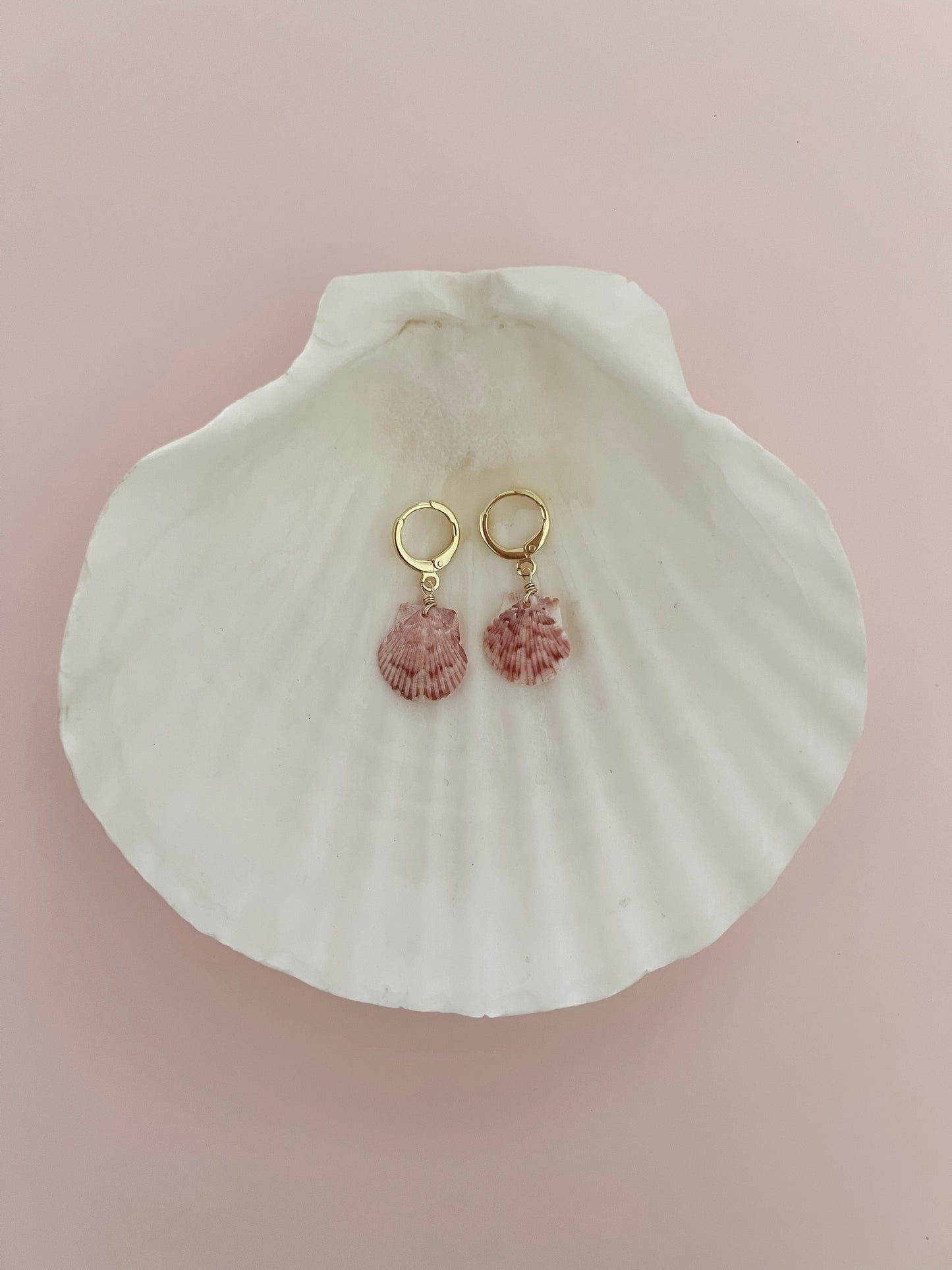 Small Real Scallop Seashell Earrings