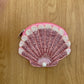 Pink Seashell Coin Pouch