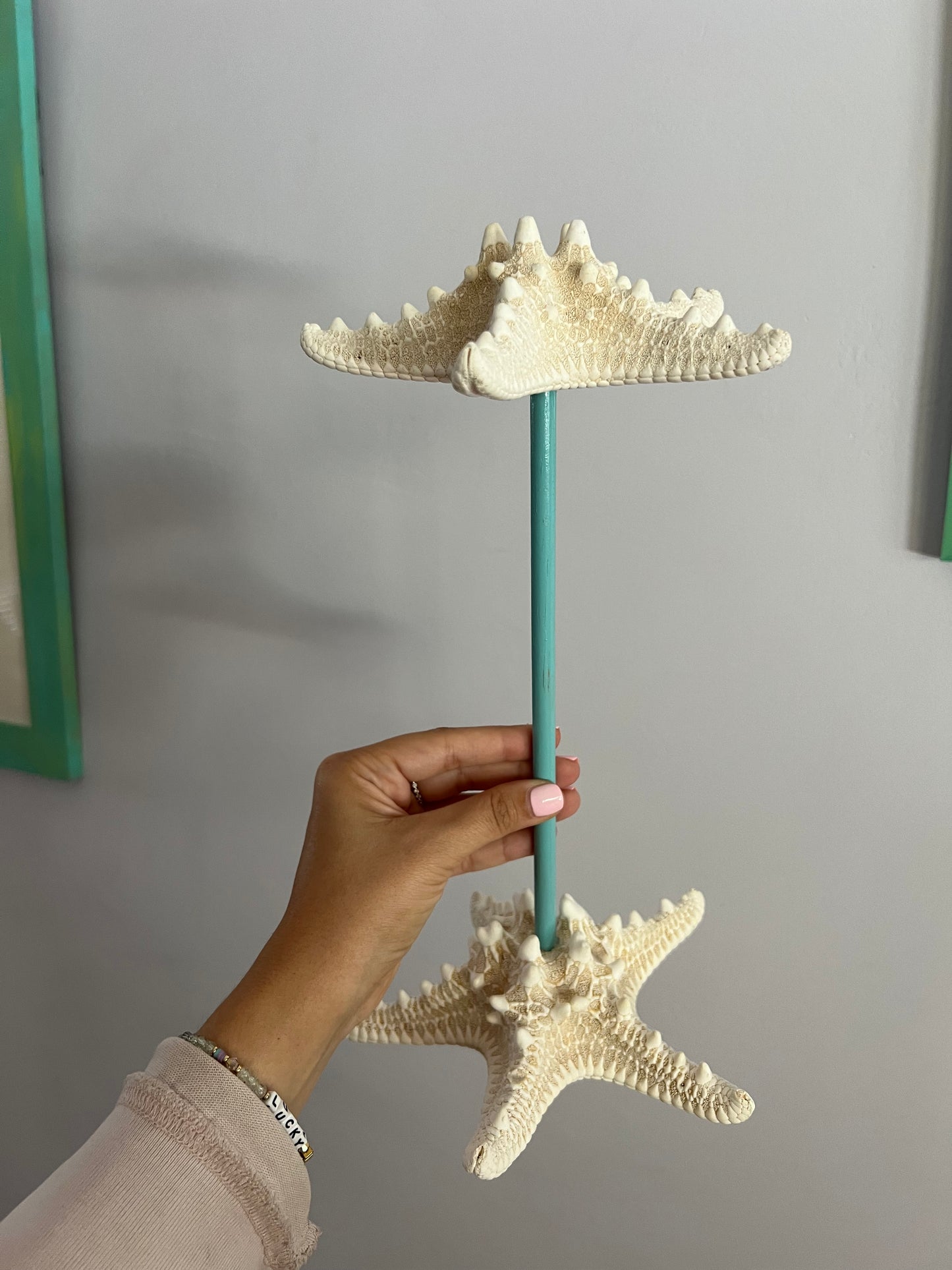 Real Starfish Jewelry Stand