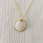 Large White Cockle with Gold Necklace